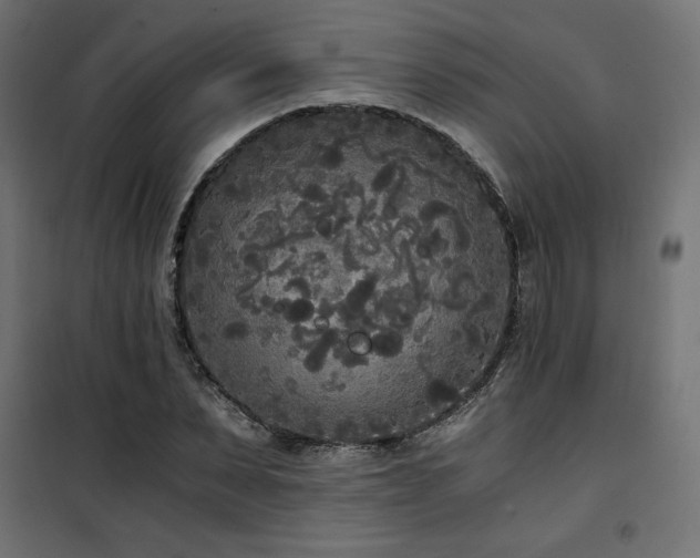 X0000101460879200807071428
