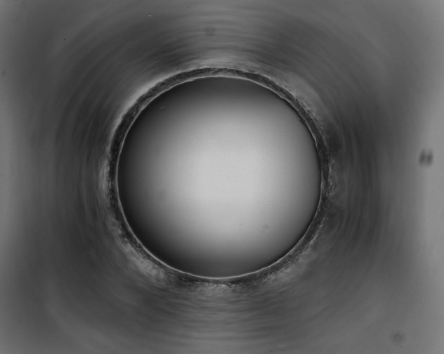 X0000101460880200807071428