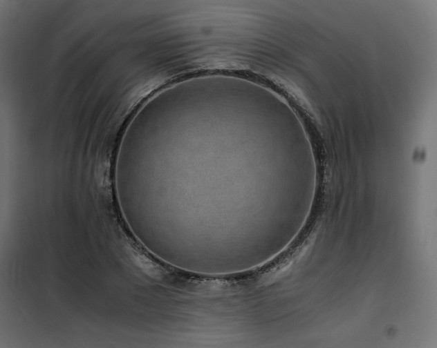 X0000101460881200807071428