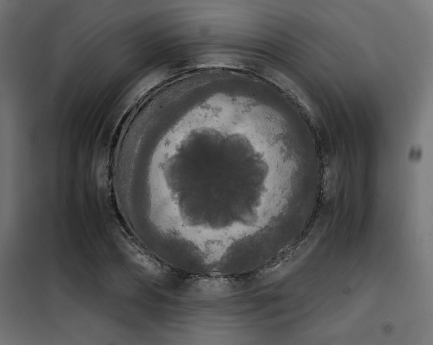 X0000101460882200807071428