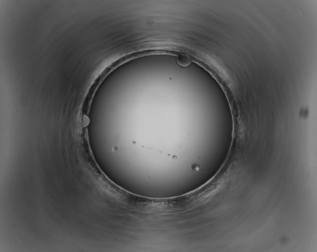 X0000101460883200807071428