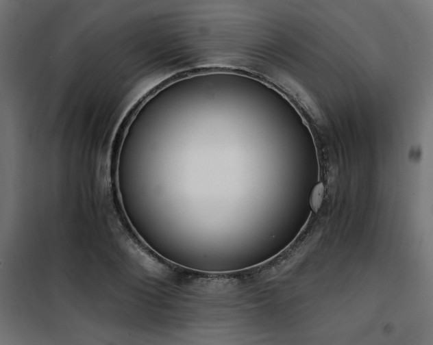X0000101460884200807071428