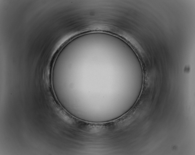 X0000101460886200807071428