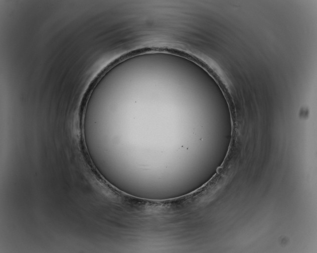 X0000101460887200807071428