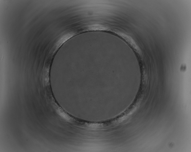 X0000101460889200807071428