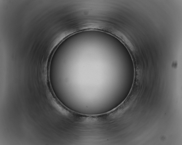 X0000101460890200807071428
