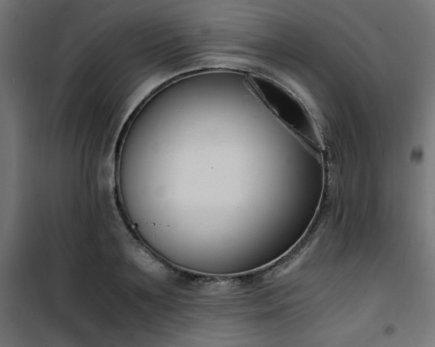X0000101460891200807071428