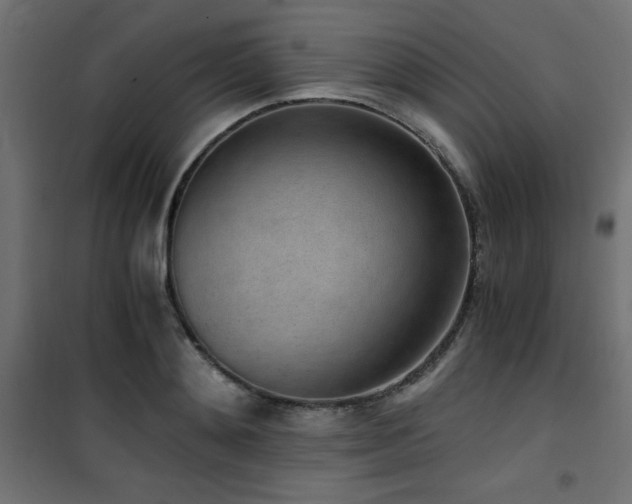 X0000101460892200807071428