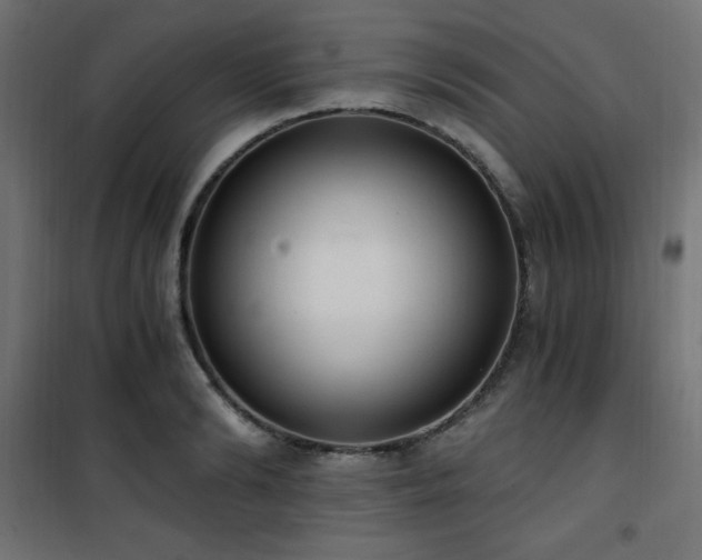 X0000101460894200807071428