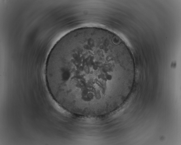 X0000101460895200807071428