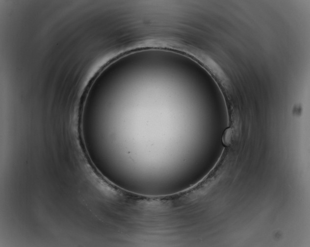 X0000101460896200807071428