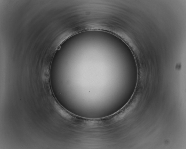 X0000101460897200807071428