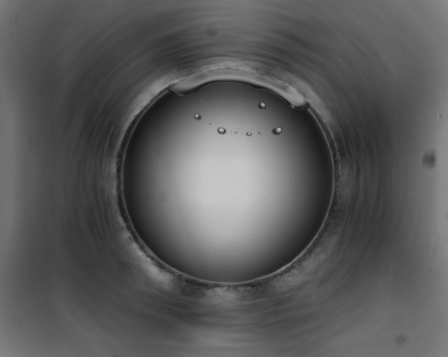X0000101460898200807071428