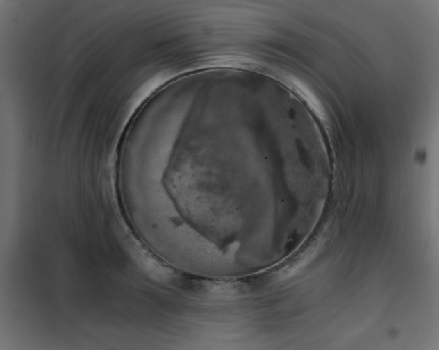 X0000101460899200807071428