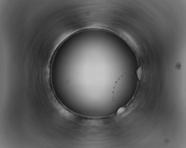 X0000101460900200807071428