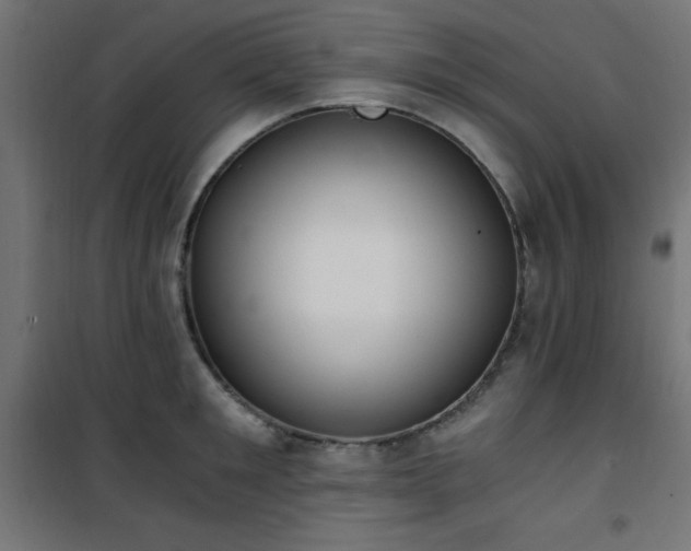X0000101460901200807071428