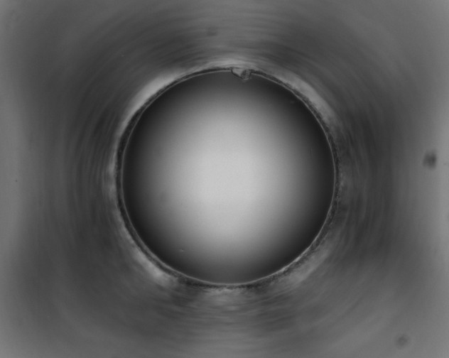 X0000101460902200807071428
