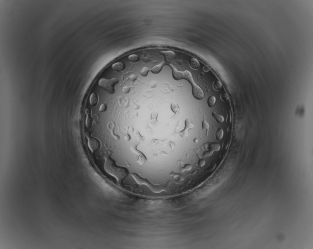 X0000101460903200807071428