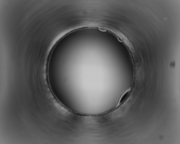 X0000101460904200807071428