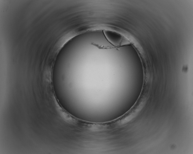 X0000101460905200807071428