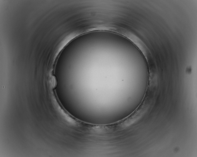 X0000101460906200807071428
