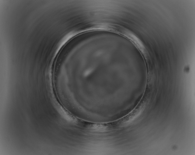 X0000101460907200807071428