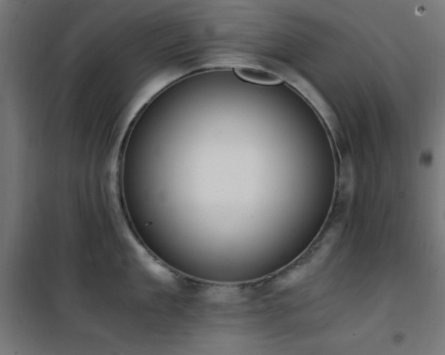 X0000101460909200807071428