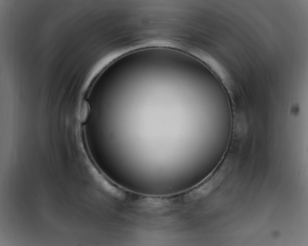 X0000101460910200807071428