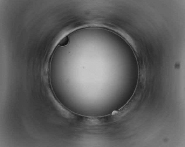 X0000101460911200807071427