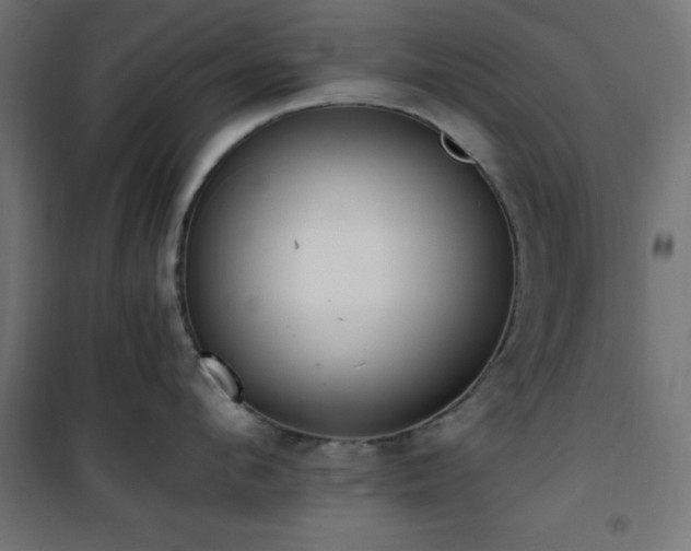 X0000101460912200807071427