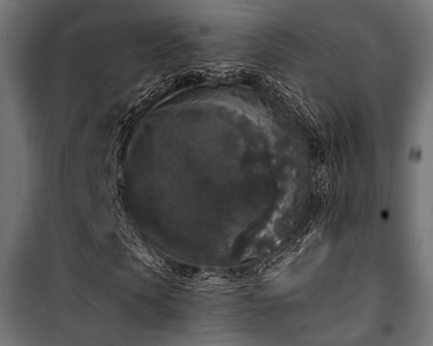X0000101460913200807071427