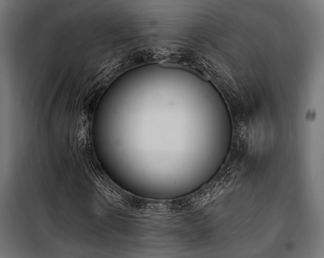 X0000101460914200807071427