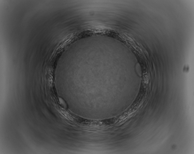 X0000101460916200807071427