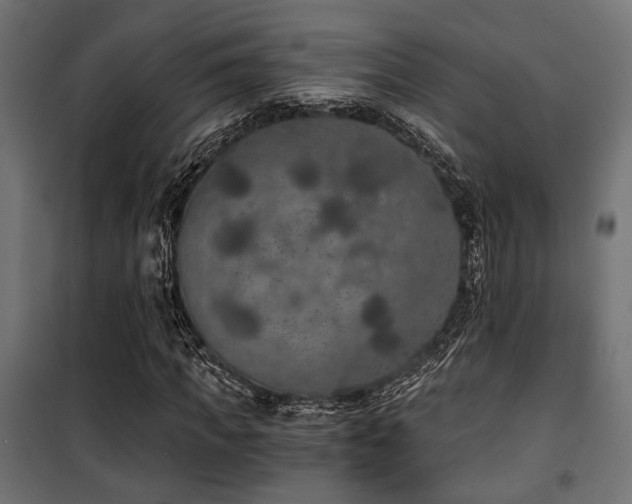 X0000101460917200807071427