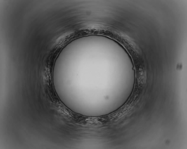 X0000101460918200807071427