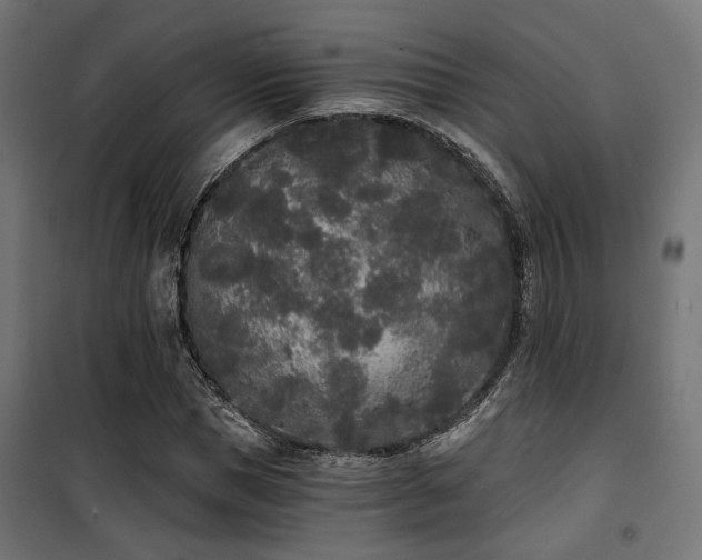 X0000101460921200807071427