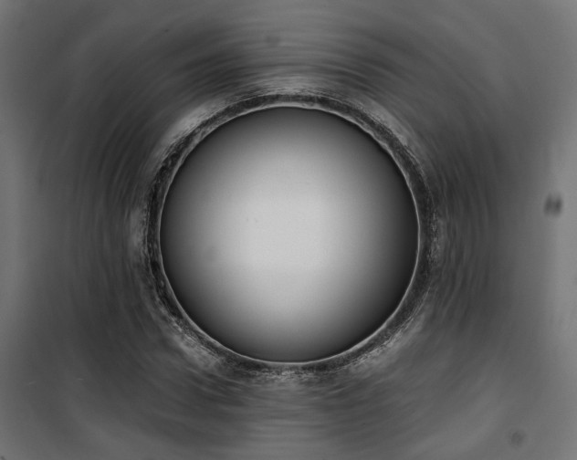 X0000101460922200807071427