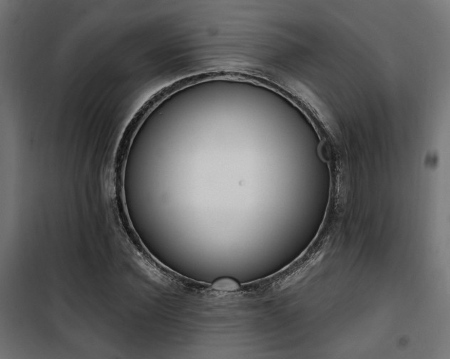 X0000101460924200807071427