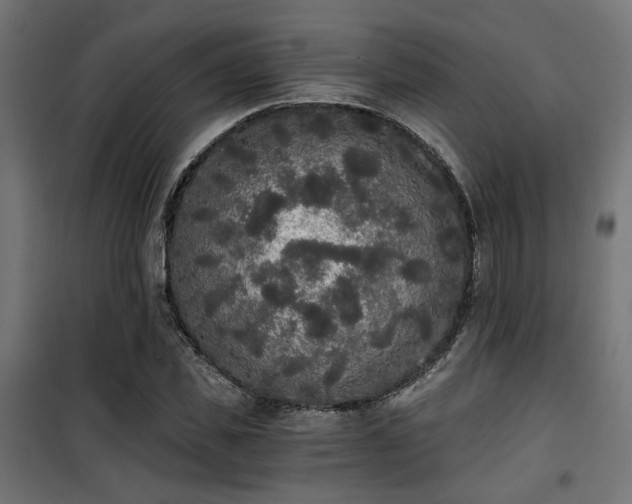 X0000101460925200807071427