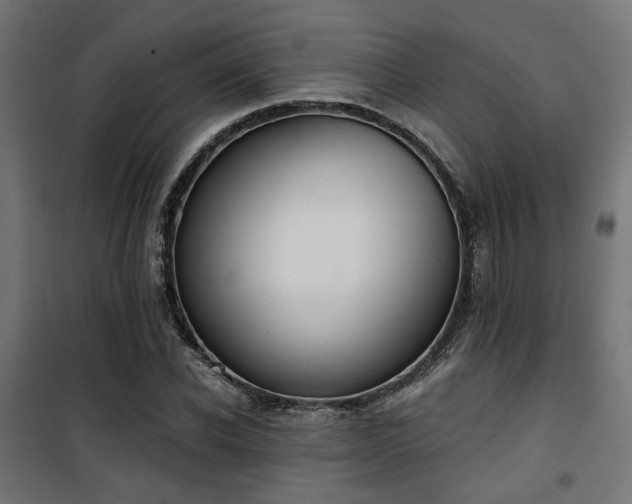 X0000101460926200807071427