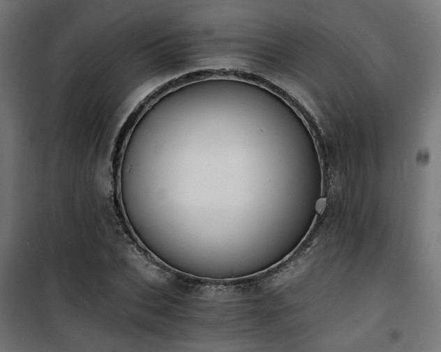 X0000101460927200807071427