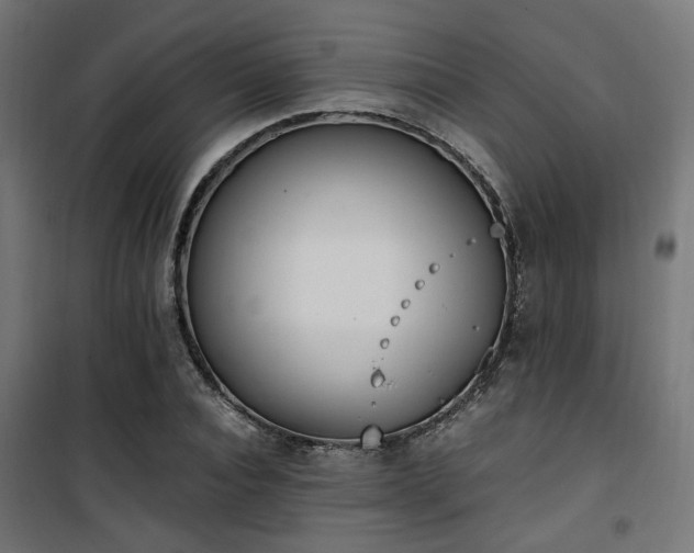 X0000101460928200807071427