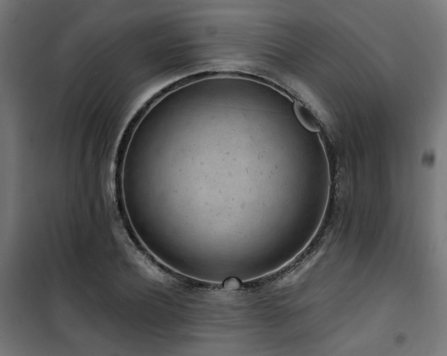 X0000101460932200807071427
