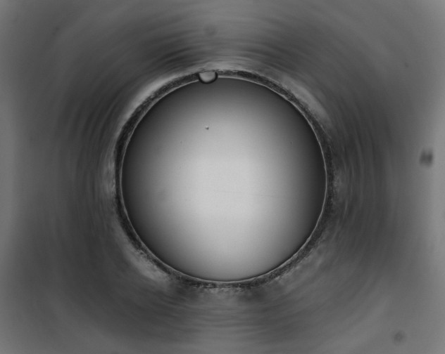 X0000101460934200807071427