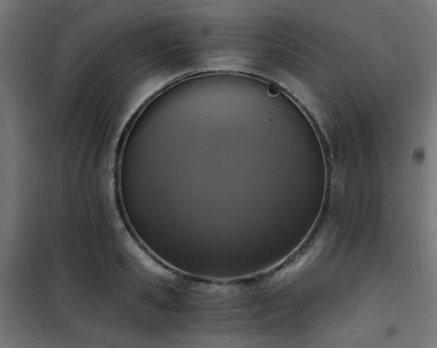 X0000101460941200807071427