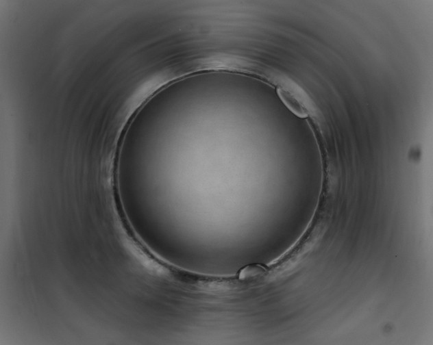 X0000101460946200807071427