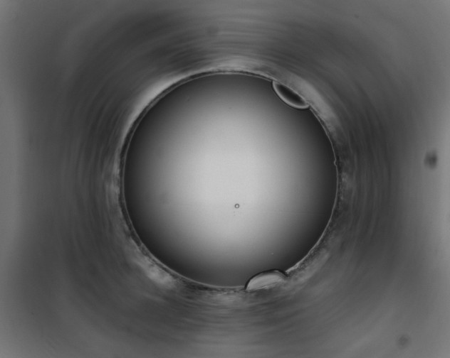 X0000101460948200807071427