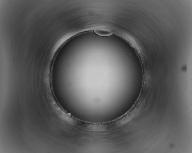 X0000101460952200807071427