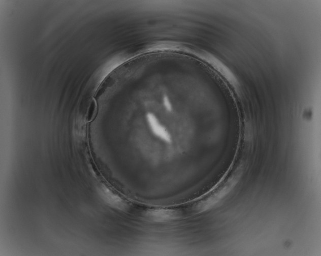 X0000101460953200807071427