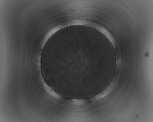 X0000101460954200807071427